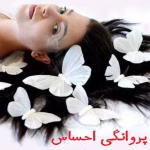 دانلود رمان پروانگی احساس pdf اثر سارا فرد