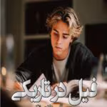 دانلود کتاب فیل در تاریکی نویسنده: قاسم هاشمی نژاد