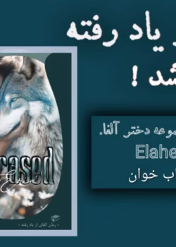 دانلود رمان‌‌ آلفای از یاد رفته جلد۹ مجموعه دخترآلفا نویسنده: آیلین ارین