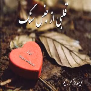 رمان قلبی از جنس سنگ | دانلود  | کتاب خوان