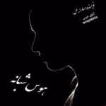 دانلود رمان هوس شبانه