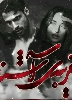 دانلود رمان غریبه آشنا نویسنده: فرزانه رضایی دارستانی