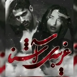رمان غریبه آشنا نویسنده: فرزانه رضایی دارستانی | دانلود  | کتاب خوان