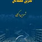 دانلود و معرفی کتاب نفرین صندلی نوشته شروین وکیلی ، داستانی ترسناک بر اساس واقعیت