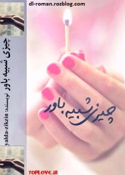 دانلود رمان چیزی شبیه باور