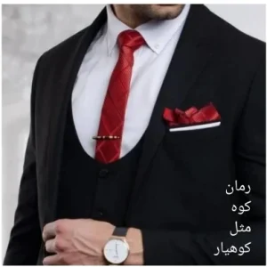 رمان کوه مثل کوهیار نویسنده: آیسا سادات حسینی | دانلود  | کتاب خوان