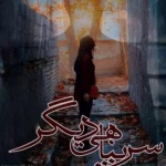 دانلود رمان سرپناهی دیگر