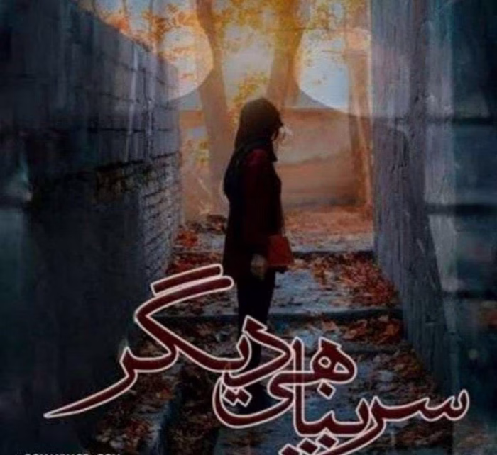 دانلود رمان سرپناهی دیگر