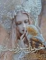 دانلود رمان آخرین آشوزشت - تصویر 1