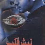 دانلود و معرفی رمان نبش قلب نوشته ترنج