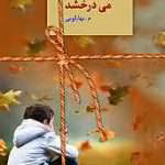 دانلود رمان می درخشد