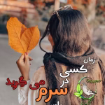 رمان کسی در سرم می گرید اثر اعظم کلانتری