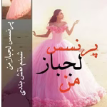 دانلود رمان پرنسس لجباز من