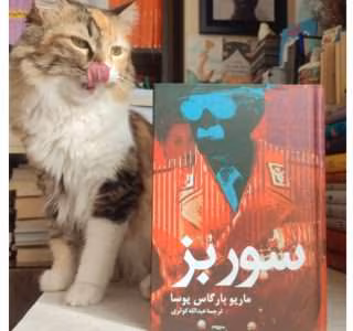 رمان سور بز از نویسنده ماریو بارگاس یوسا _ کامل  | دانلود  | کتاب خوان
