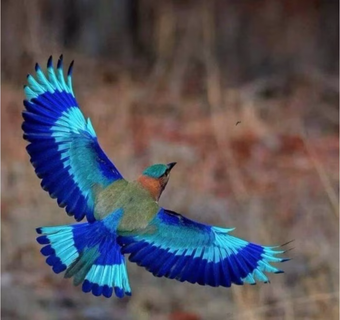 دانلود پرنده‌ ای که پرواز کرد از نویسنده غزل پورنسایی_ کامل pdf