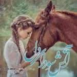 دانلود رمان آتش سودای دل اثر مبینا نورافکن