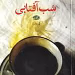 دانلود و معرفی کتاب شب آفتابی نوشته نسرین ثامنی