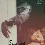 دانلود و معرفی رمان تخریبگر نوشته مرضیه اخوان نژاد