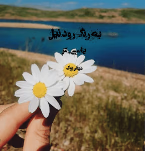 رمان به رنگ رود نیل | دانلود  | کتاب خوان