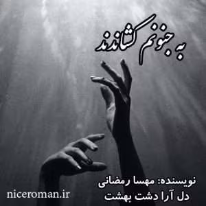 و معرفی رمان به جنونم کشاندند نوشته مهسا رمضانی و دل آرا دشت بهشت | دانلود  | کتاب خوان