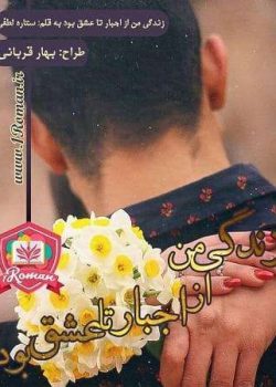 دانلود رمان زندگی من از اجبار تا عشق بود pdf