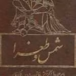 دانلود و معرفی کتاب شمس و طغرا نوشته محمد باقر خسروی