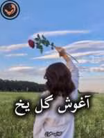 دانلود رمان آغوش گل یخ pdf از آیما
