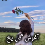 دانلود رمان آغوش گل یخ pdf از آیما
