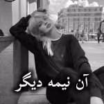 دانلود رمان آن نیمه دیگر pdf از آنیتا سالاریان