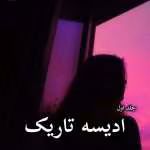دانلود رمان ادیسه تاریک (جلد اول) pdf از Mariska