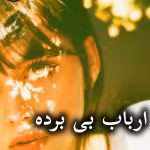 دانلود رمان ارباب بی برده pdf از فرناز احمدلی
