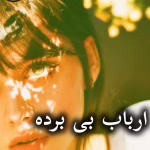 دانلود رمان ارباب بی برده pdf از فرناز احمدلی