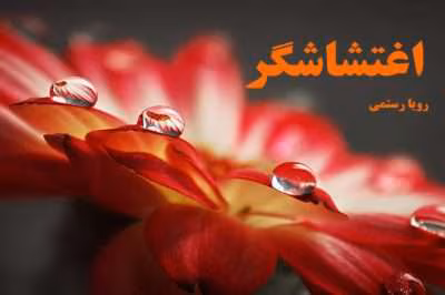رمان اغتشاشگر نویسنده: رویا رستمی | دانلود  | کتاب خوان