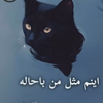 دانلود رمان اینم مثل من باحاله pdf |اثر مهنا
