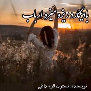 رمان بادیگارد ریزه میزه ارباب نویسنده: نسترن قره داغی | دانلود  | کتاب خوان