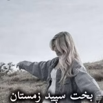 دانلود رمان بخت سپید زمستان pdf از مهناز صیدی