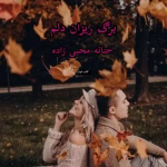 رمان برگ ریزان دلم | دانلود  | کتاب خوان