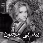دانلود رمان بید بی مجنون pdf از الناز بوذرجمهری
