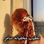 دانلود رمان تعقیب مخفیانه سامر (جلد ششم) pdf از جاس استرلینگ