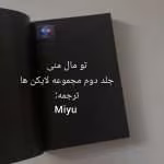 دانلود رمان تو مال منی جلد دوم مجموعه لایکن‌ها
