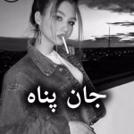دانلود رمان جان پناه و کارداجین pdf از ندا اسکندری