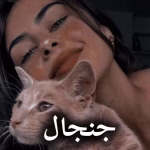 دانلود رمان جنجال pdf از فاطمه جعفری
