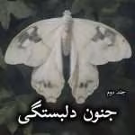 دانلود رمان جنون دلبستگی (جلد دوم) pdf از دنیل لوری