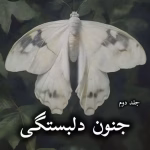 دانلود رمان جنون دلبستگی (جلد دوم) pdf از دنیل لوری