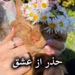 دانلود رمان حذر از عشق pdf از افسانه فیاضی