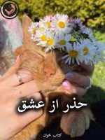 دانلود رمان حذر از عشق pdf از افسانه فیاضی