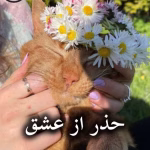 دانلود رمان حذر از عشق pdf از افسانه فیاضی