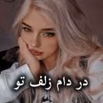 دانلود رمان در دام زلف تو pdf از زهرا جلیلی