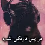 دانلود رمان در پس تاریکی شب pdf از شبنم اعتمادی
