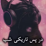 دانلود رمان در پس تاریکی شب pdf از شبنم اعتمادی